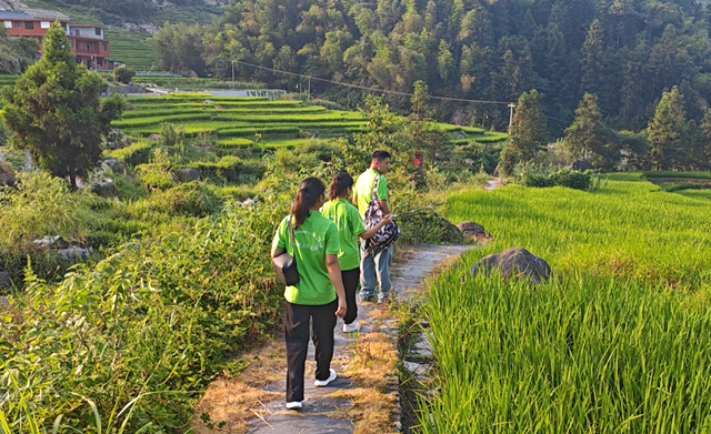 湖南工商大學(xué)學(xué)子走進(jìn)紫鵲界 探尋“雙遺產(chǎn)”創(chuàng)新發(fā)展與保護(hù)策略