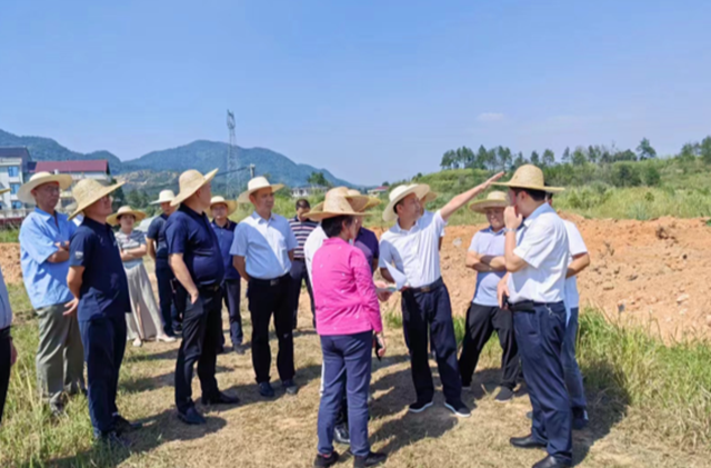 新化高新区向红工业园化工片区新设立专家评审会议召开