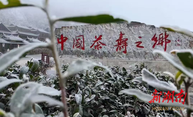 瑞雪迎新 |  赏渠江源冬韵  赴一场冰雪之约