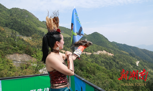 天门乡：守护千年鸟道 共绘生态画卷