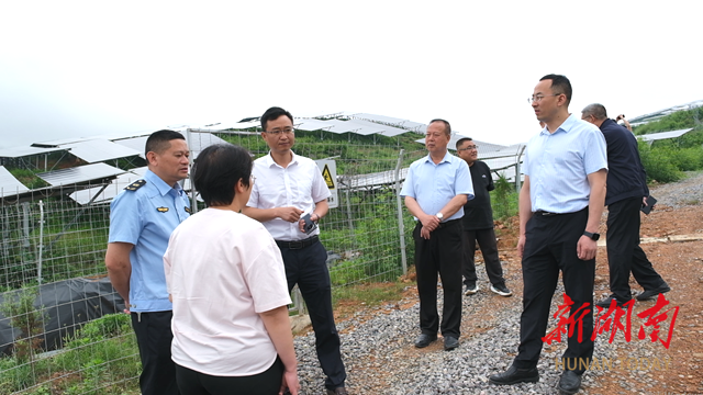 新化县政协开展光伏发电项目民主监督调研