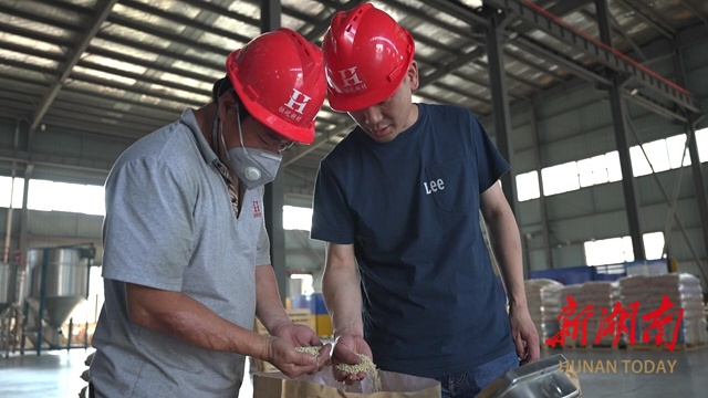 雁归潮涌•“新”活力 | 袁文：从“技术骨干”到“返乡先锋” 新材料细分领域跑出加速度