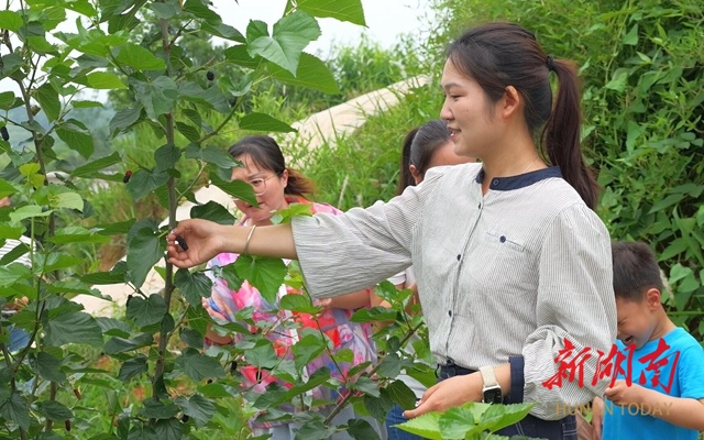 雁归潮涌·新活力 | 杨昭珞：用科技赋能农业 用青春筑梦乡村