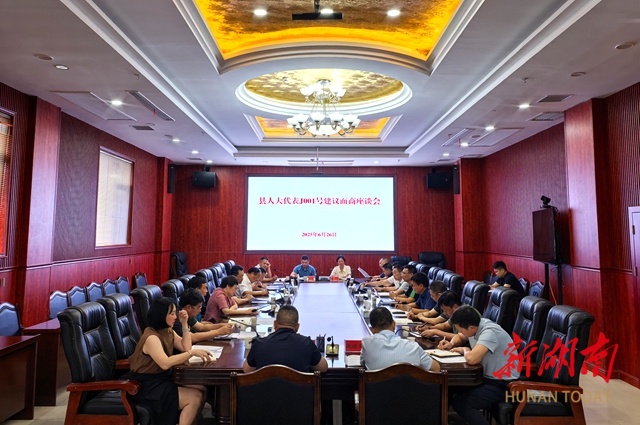 新化县召开人大代表建议和政协委员提案面商座谈会