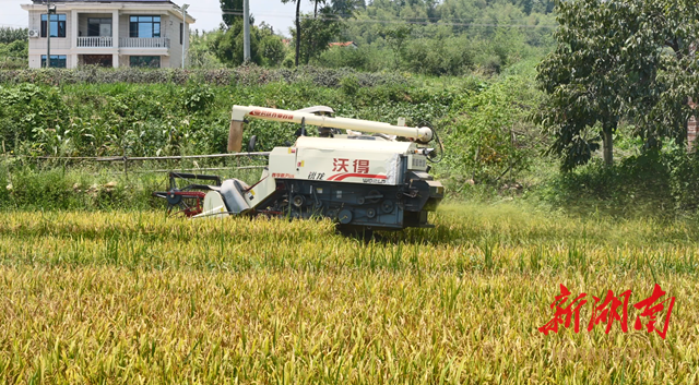 棣園生態(tài)農(nóng)場  “碎秸還田” 鋪就一片沃土