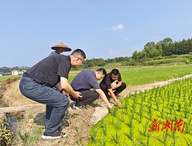 彭韬“四不两直”督查衔接资金管理使用情况  并调研指导粮食生产和抗旱工作