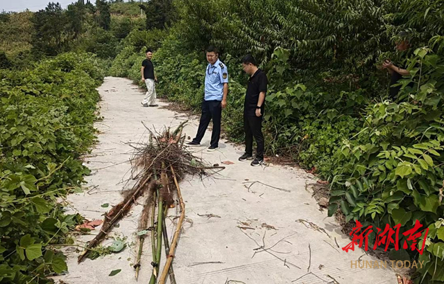 护鸟清网 | 游家镇开展“护鸟清网”暨禁渔禁猎专项整治行动