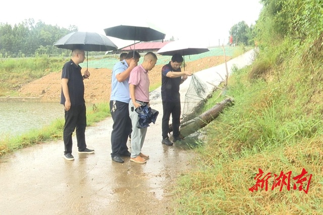 新化县领导赴荣华乡调研指导护鸟清网和禁渔禁猎工作