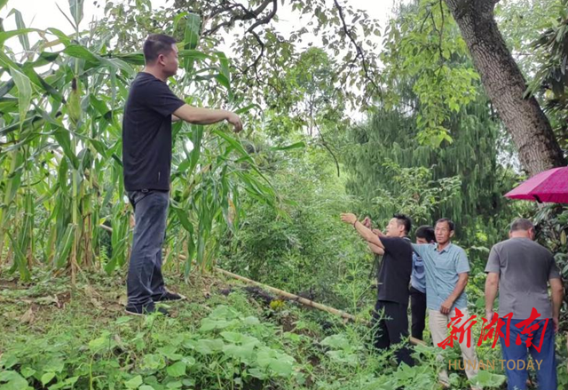 新化多部门连环出击 纵深推进抓卖全链条管控