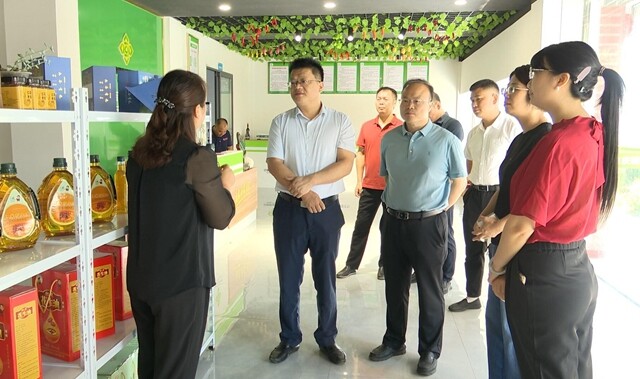 李峰到吉庆 曹家镇调研督导乡村振兴 产业发展等工作