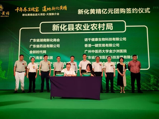 新化黄精走进大湾区 | 新化黄精现场签约6.8亿