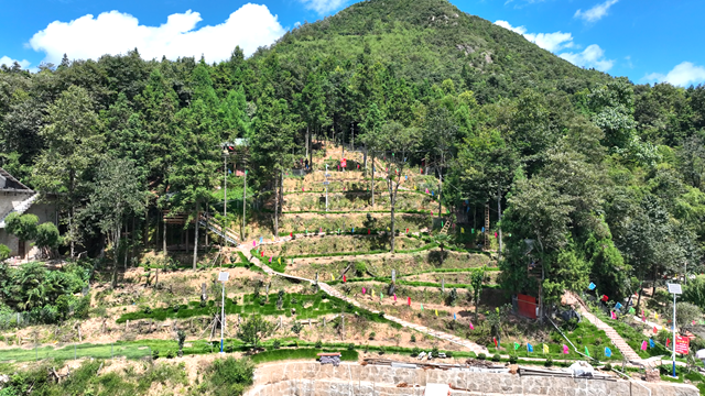 维山乡“喜鹊窝”休闲基地 山林间的“清凉乐园”