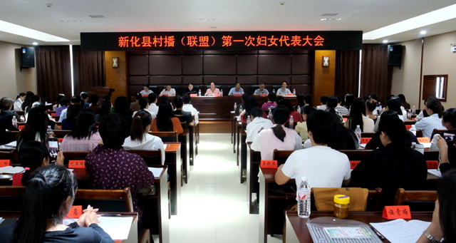 新化县村播（联盟）妇联成立 凝聚巾帼力量 赋能乡村振兴
