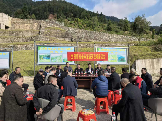文田镇召开打击非法盗采现场座谈会