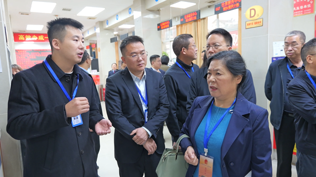 娄底市人大代表第六组到新化县调研“三集中三到位”改革落实情况