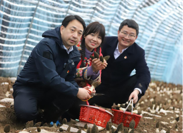 政企协同破局 栗山坪村产业“造血”力显成效