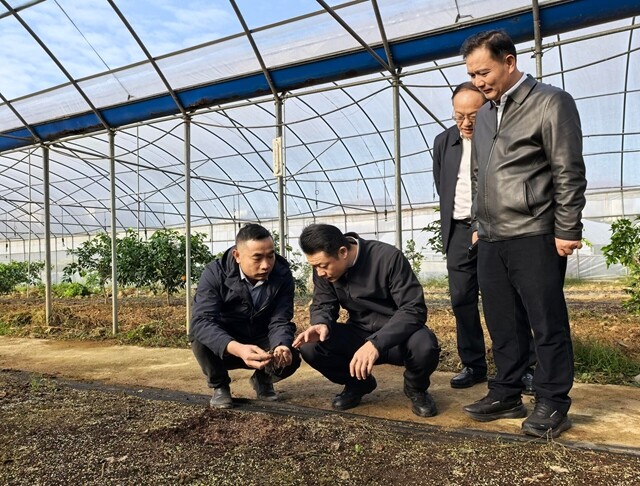 彭韬调研乡村特色产业发展和民生实事项目建设情况