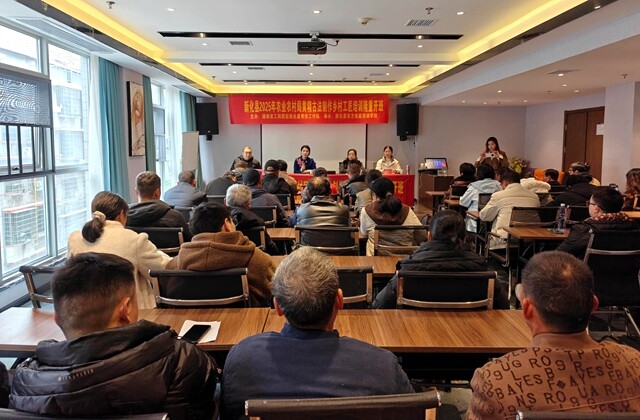 新化县举行黄精古法制作乡村工匠培训