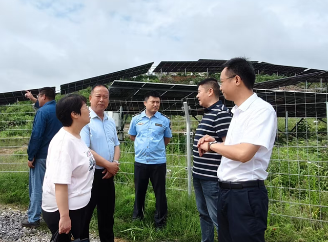 以责任守护生态 用担当点亮绿色希望