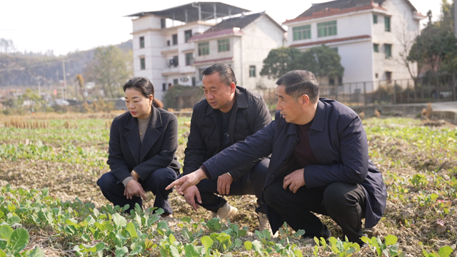 代表委员风采 | 新化县人大代表黄泽洪 扎根基层听民声 履职尽责惠民生