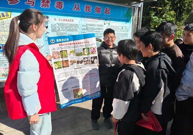 新化禁毒在线 | 从“小种子”到“大安全” 禁种铲毒宣传深入校园