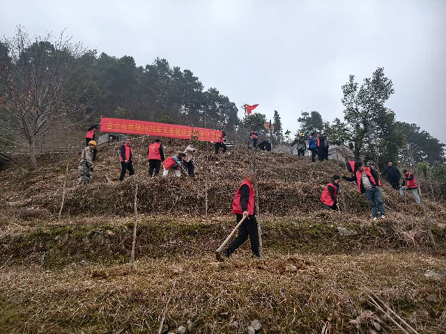 第48个植树节 | 古台山林场开展义务植树活动