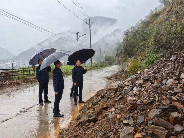 彭韬到炉观镇调研：以时时放心不下的责任感 筑牢全县安全防护网