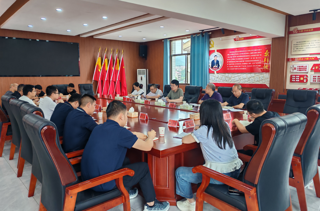 邹剑锋赴桑梓镇调研督导当前重点工作
