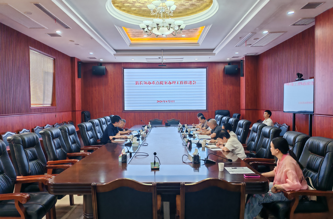 新化县召开县长领办重点提案办理工作推进会