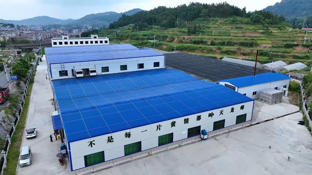 盘活万亩闲置林地！新化这家龙头企业，让深山黄精变成“致富金”
