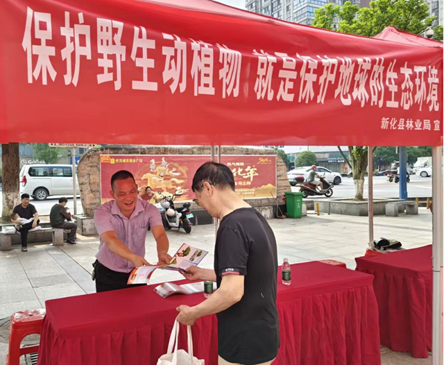 新化县林业局开展主题宣传活动