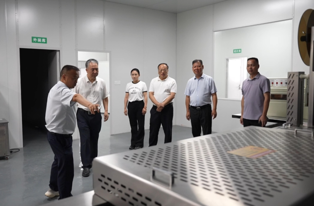 多花黄精·源起新化 | 杨韶红率队调研黄精产业发展情况
