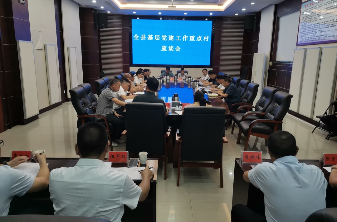 新化县召开全县基层党建工作重点村座谈会