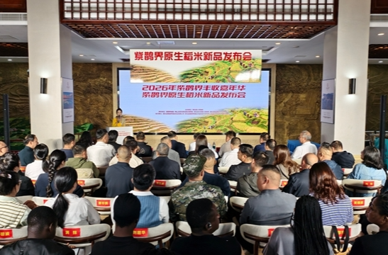 紫鹊界原生稻米新品在湖南新化发布 五大标准体系护航梯田好米