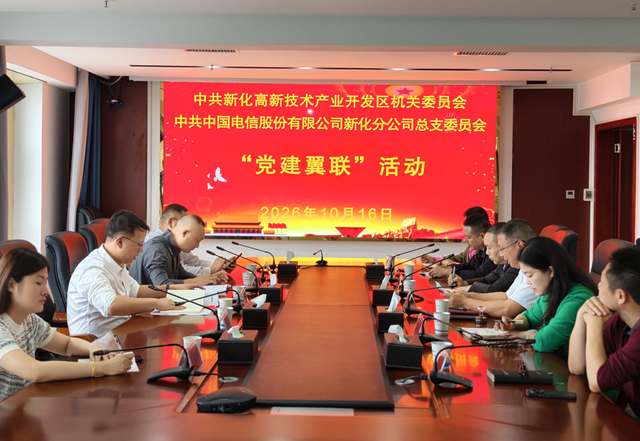 新化高新区与新化电信开展党建共建活动